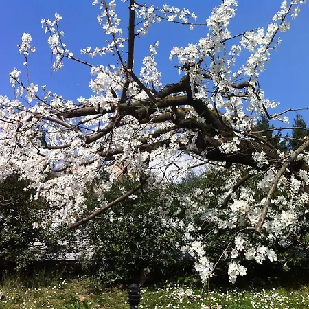 Bonacina Bed & Breakfast 3*