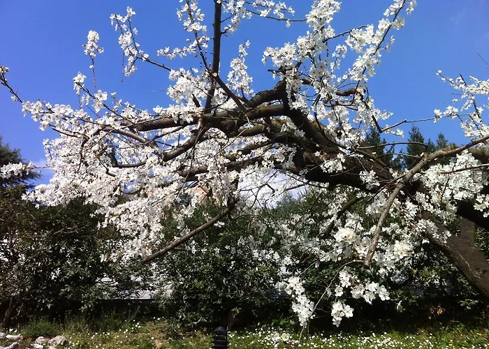 Bonacina Couette-café 3*