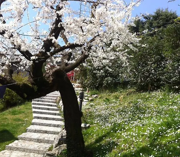 Bed & Breakfast Bonacina Malnago