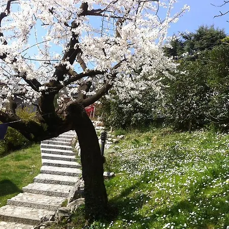 Couette-café Bonacina Malnago